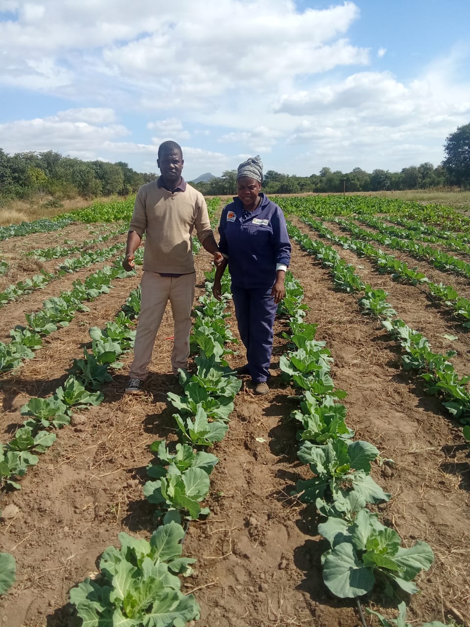Farm Biogas Digester